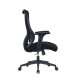 Zephyr Ergonomic Mesh Office Chair